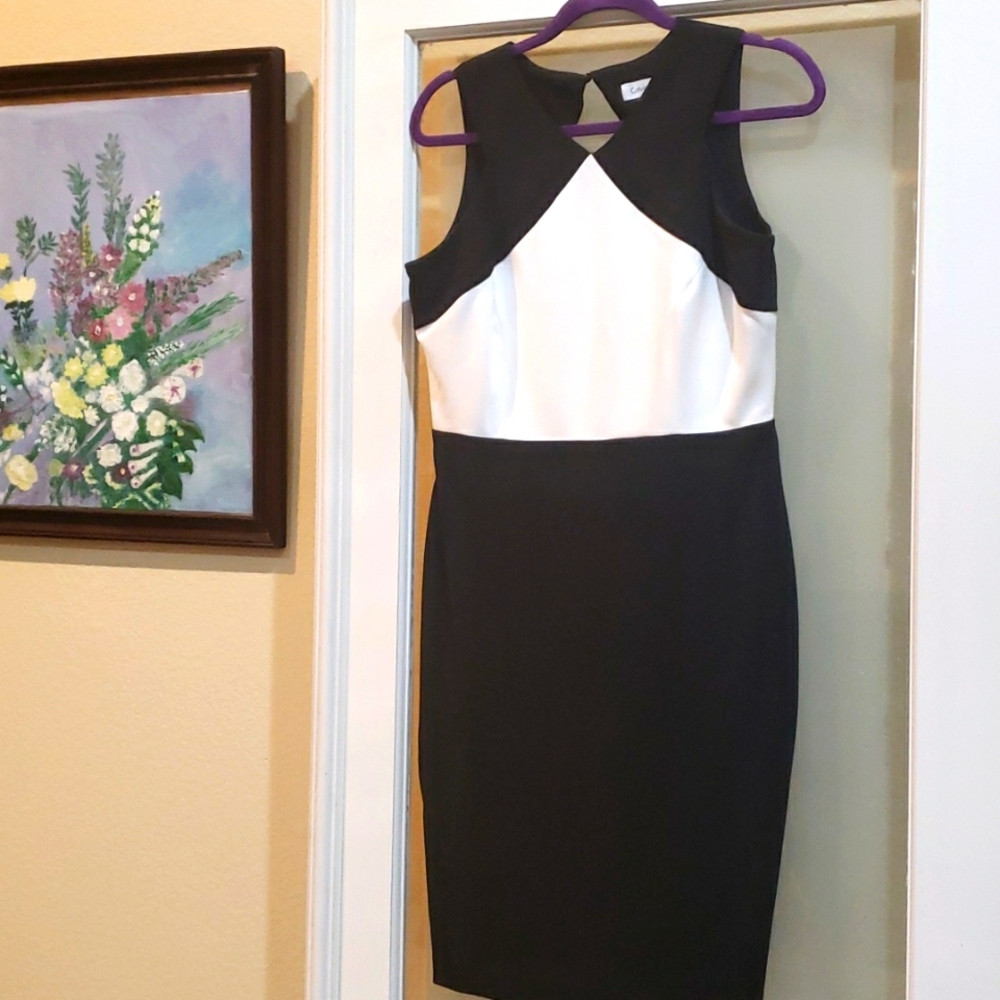 Calvin Klein Black & Ivory Dress Size 10